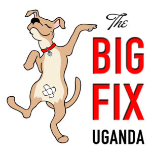 World Animal Day 2017 / Uganda @ Uganda | 0