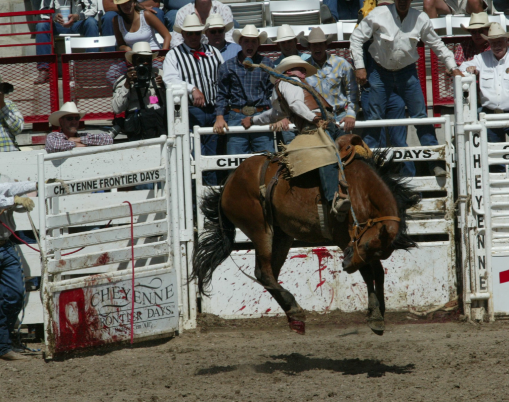 Another Horse Dies at Cheyenne Frontier Days Rodeo – How Do They Claim ...