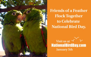 #National Bird Day