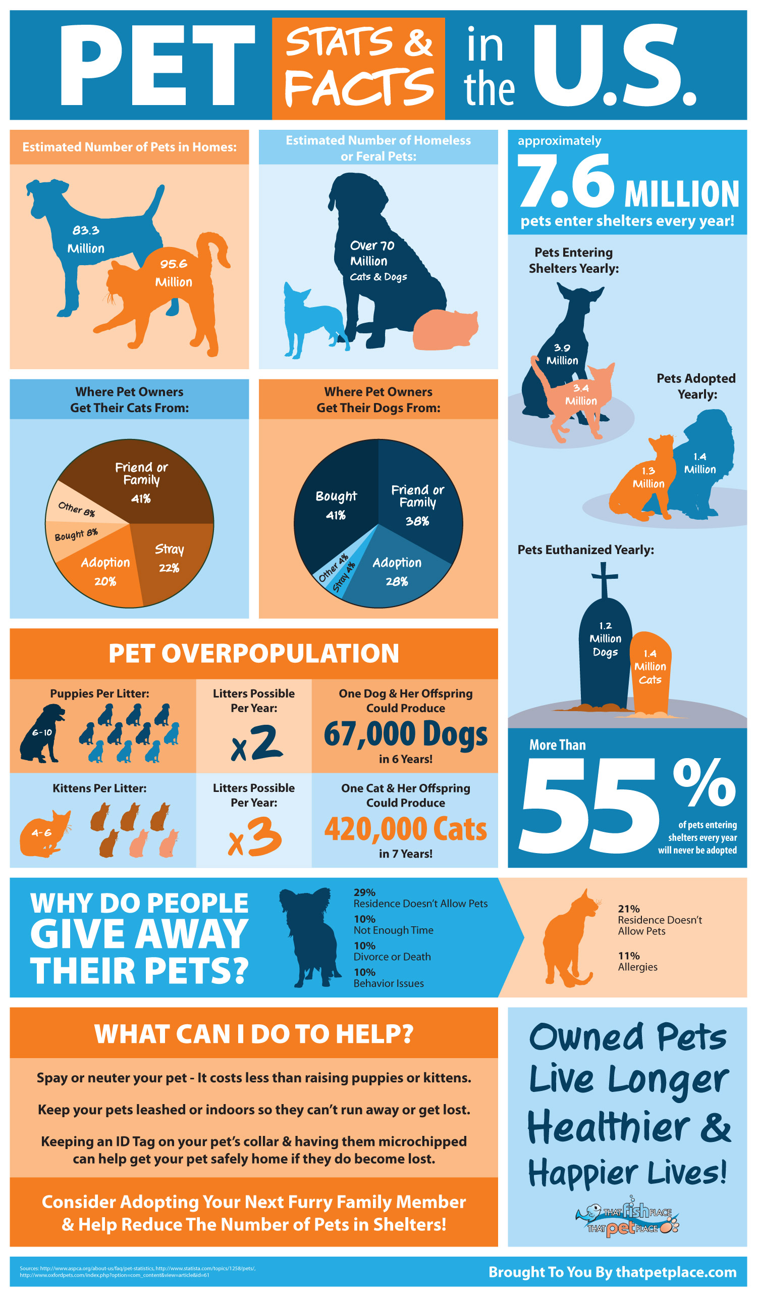 National Pet Cancer Awareness Month — Animal Welfare Issues