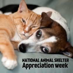 National Animal Shelter/ Rescue Appreciation Week!