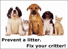 February is National Prevent a Litter Month