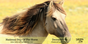 National Day of the Horse