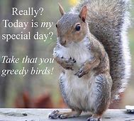 National Squirrel Appreciation Day