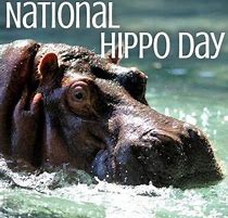 National Hippo Day