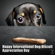 International Dog Biscuit Apreciation Day