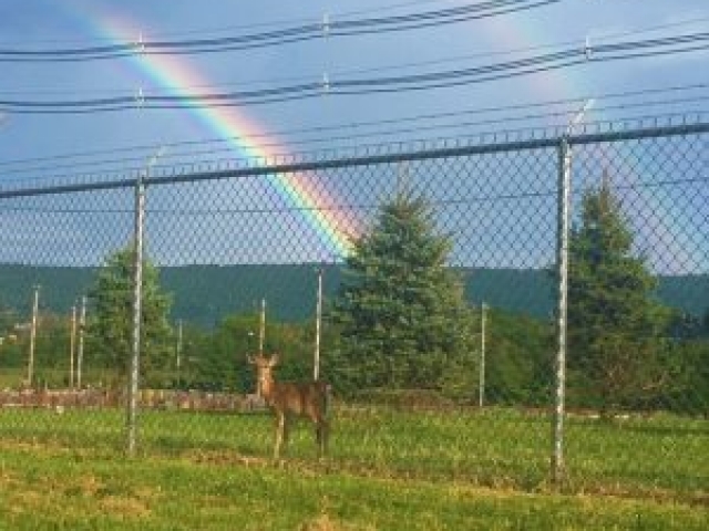 Somewhere Over the Rainbow